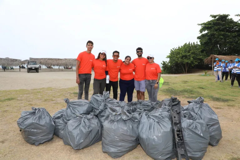 El Voluntariado Todoticket celebró más de 300 horas de trabajo de participación social en actividades educativas y ambientales